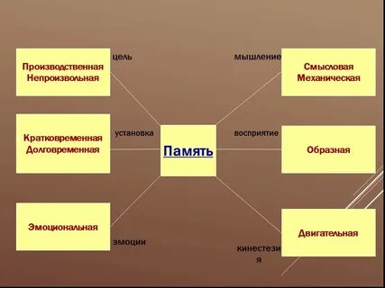 Роль памяти в восприятии