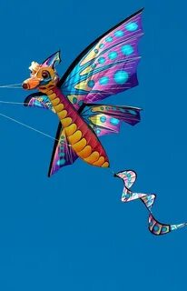 Go fly s