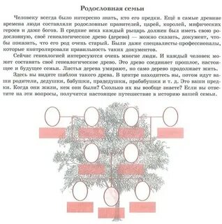 Прочитай текст и изобрази семейное дерево