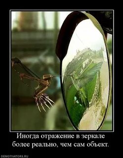 Либо отражение