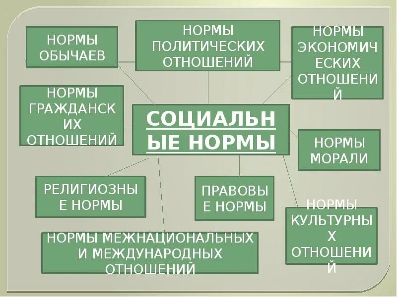 Политически нормы поведения. Социальные нормы. Примеры политических социальных норм. Нормы обычаев. Правовые и этнические нормы общества:.