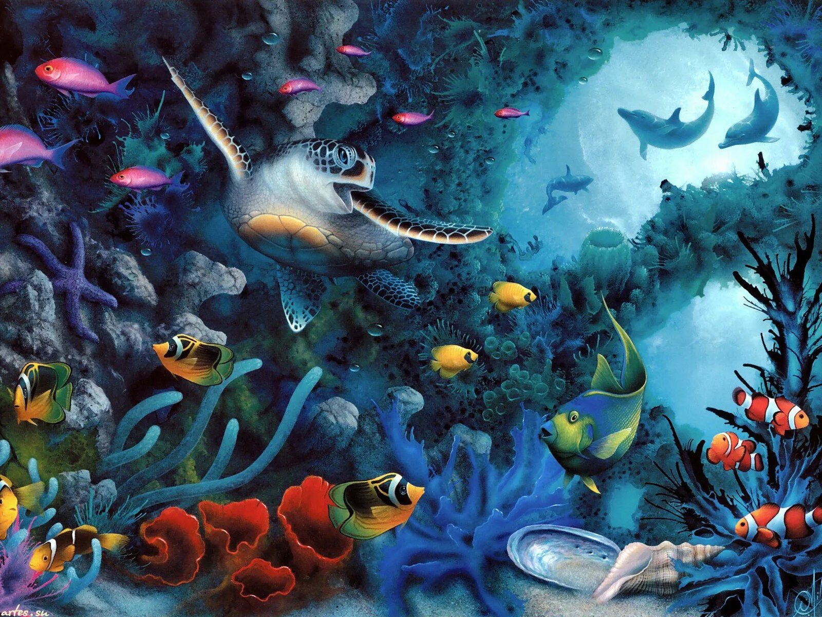 Морские обитатели 6 класс. Дэвид Миллер художник. David Miller картины. Картины художника Дэвида Миллера. Подводный мир Дэвид Миллер.
