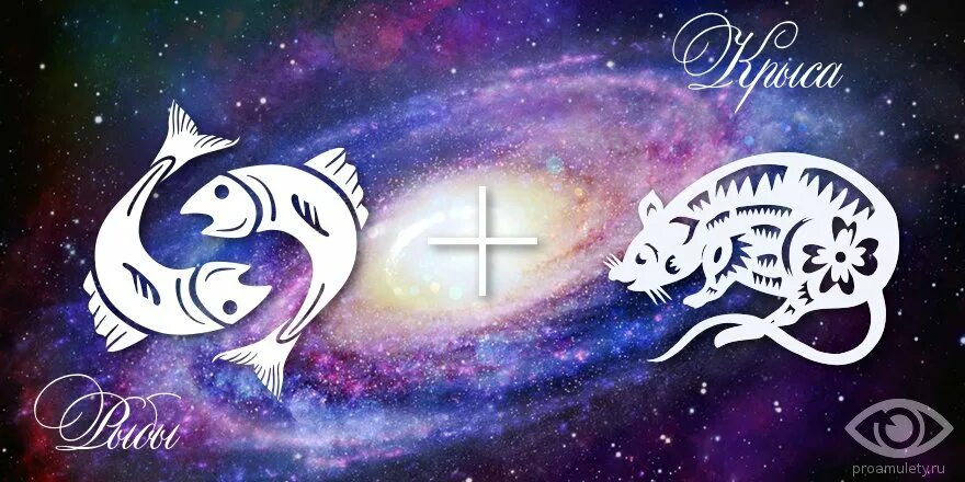 рыба лошадь мужчина характеристика. гороскоп год лошади женщина. знаки зодиака лошадь рыба. рыба лошадь мужчина характеристика. лошадь по гороскопу характеристика.