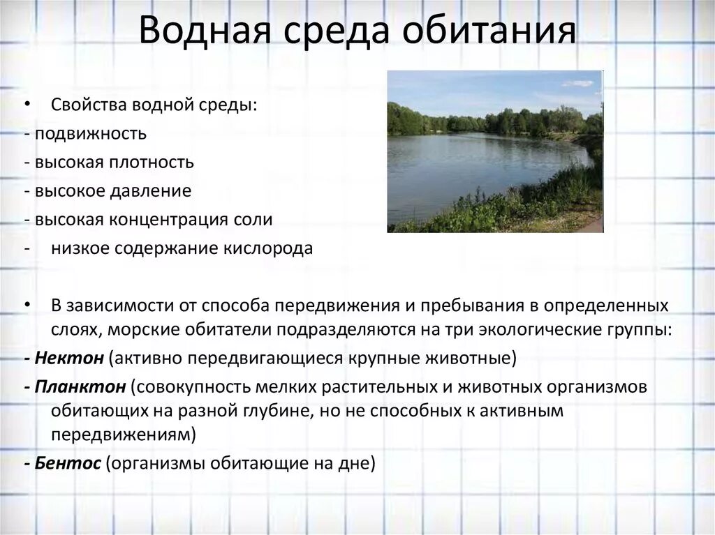 Какая температура в водной среде обитания. Водная среда обитания характеристика. Основные признаки водной среды. Основная характеристика водной среды. Водная среда обитания особенности среды.