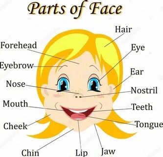 Переведи слово face