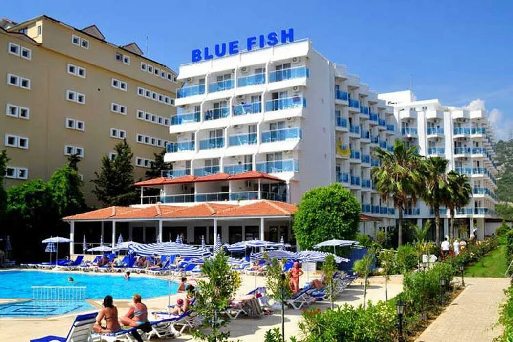 Blue fish hotel 4 турция. отель blue fish 4. Blue fish 4 алания. турция, аланья 4* blue fish. отель blue fish 4.