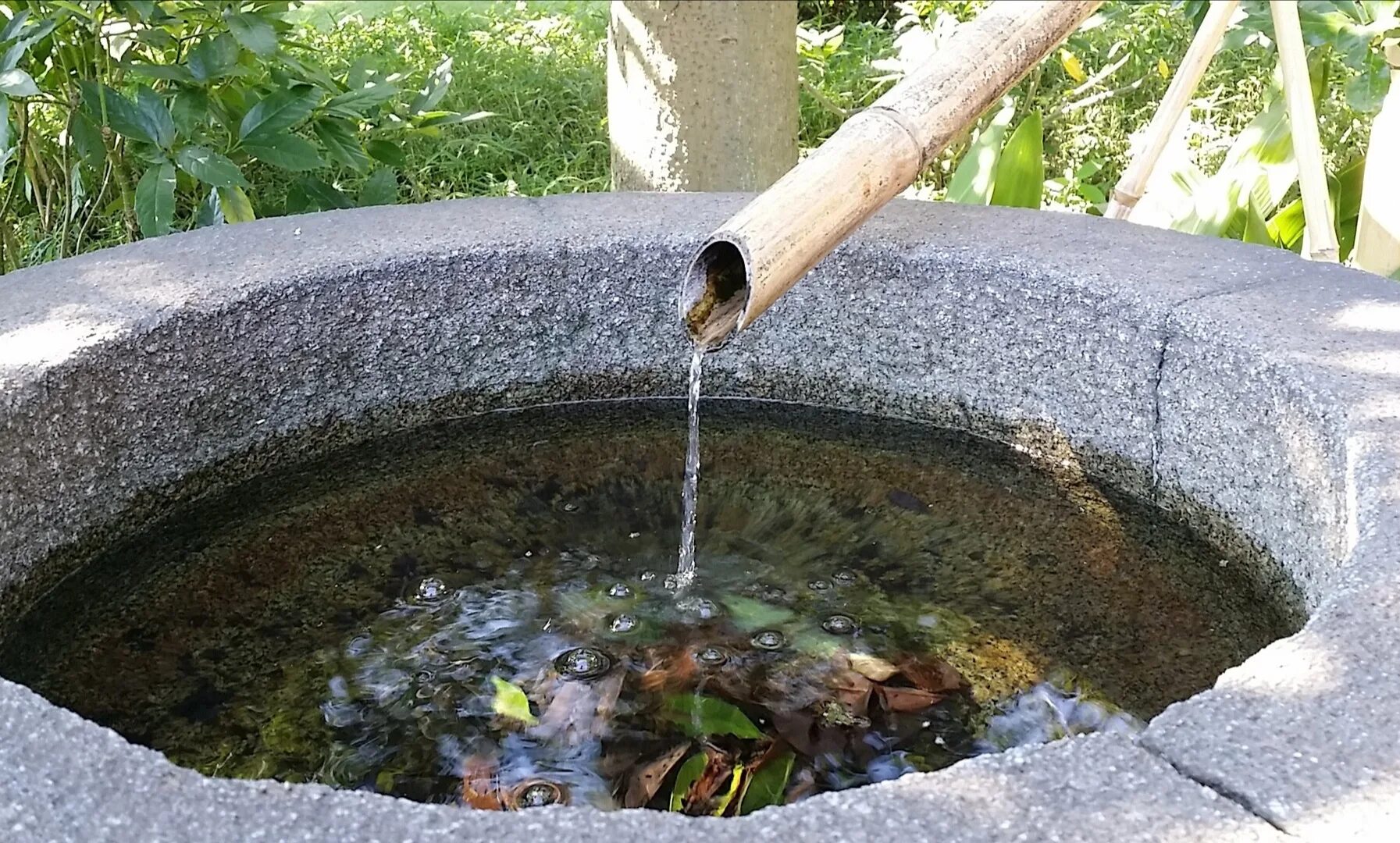 Колодец для воды. Колодезная вода. Колодец с родниковой водой. Ведро для колодца. Колодец вода в нем есть