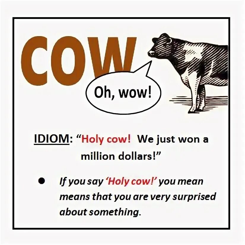 Идиома cow. Cow на английском. To have a cow перевод идиомы. Does the trick идиома. Holy cow идиома.