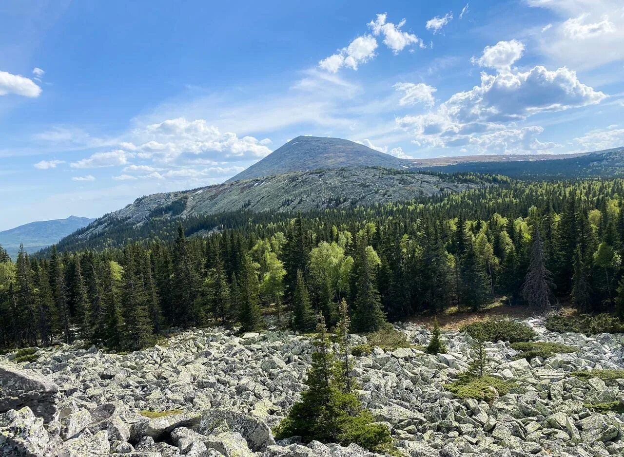 Гора Кумба Североуральск. Гора Кумба на Урале. Гора Кумба и золотой камень. Кумба вершина Североуральск. Урал североуральск