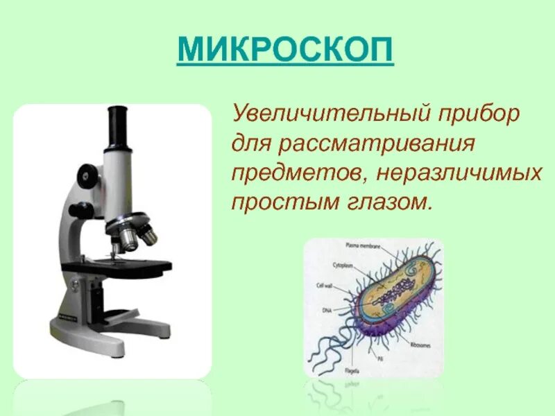 Сообщение о микроскопе
