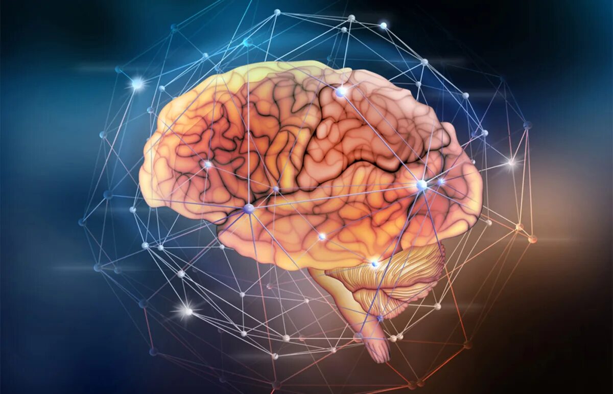 Нейронная сеть мозга. Нейронная сеть человеческого мозга. Мозг нейросети. Искусственный интеллект мозг.