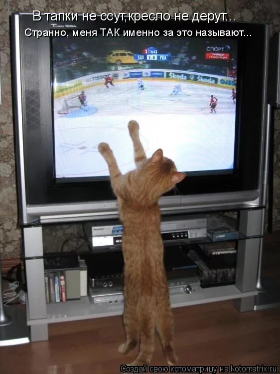 догоняй прикол. меня не догонишь. никак не догонишь. нас не догонят гифка. прикольные наклейки.