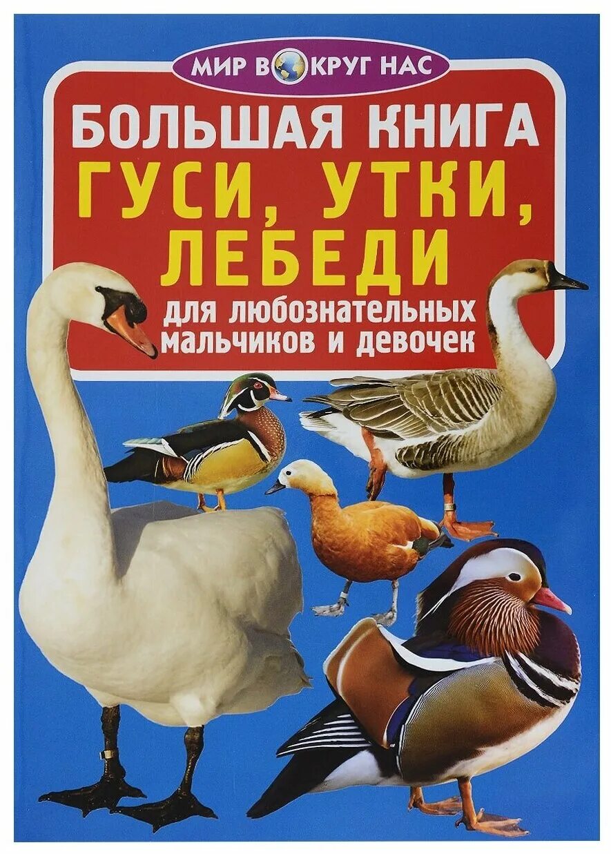 Книга утиные. Гусь с книгой. Книга игра утиные истории. Выпуск 1. Утиные истории книга.