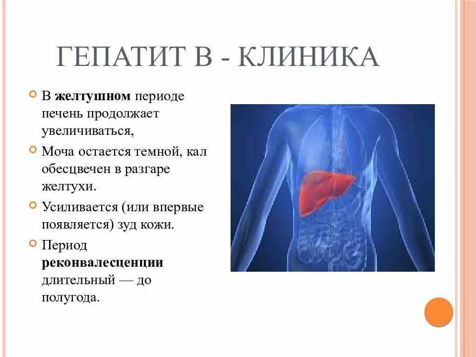 Проявление вирусного гепатита. Гепатит а клиника. Хронический гепатит b клиника. Вирусный гепатит б клиника.