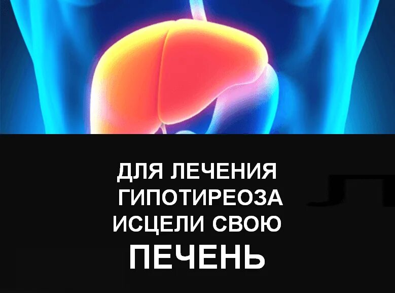 Как железо влияет на печень. Исцеление печени. Частоты исцеления печени. Истории исцеления печени и. Как печень влияет на щитовидную железу.