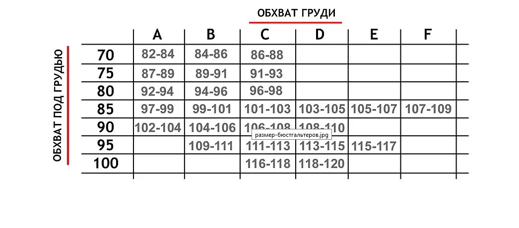 Лифчик размеры 36. Обхват груди 100. Обхват груди 102-106. Обхват груди обхват талии. Zebra белье Размерная сетка.