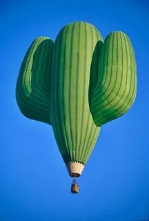 Air cactus