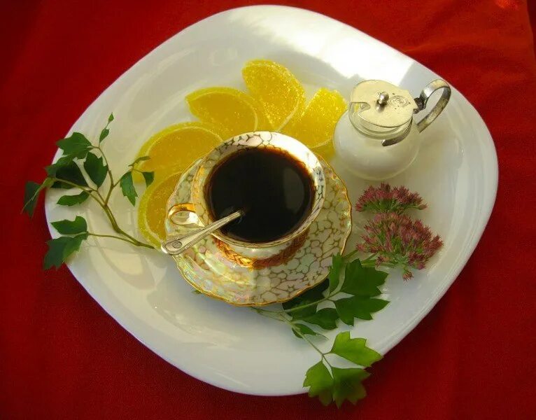 Бодрого утра. Чашечка чая для хорошего настроения. Чашка утреннего чая с пожеланием. Доброе утро и чай с лимоном пожелание. Утренний чай с пожеланием.