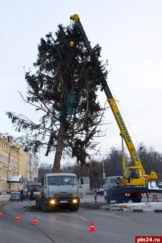 Выступление елки в пскове. Псковская елка. псков октябрьская площадь. смешная елка в пскове 2012г.