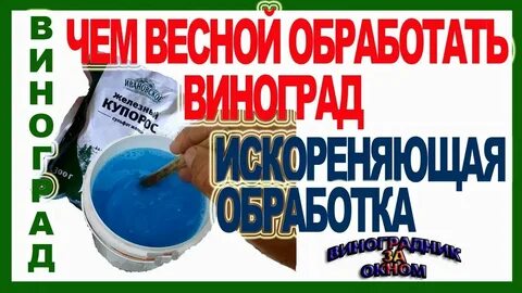 Как обработать виноград железным купоросом осенью