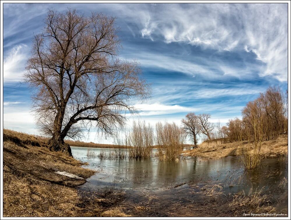 Шикарный пейзаж апрель. Воробьи спрятались от грозы. Пролески, подснежники, крокусы. Юный апрель. Вещи напоминающие сережки березы.
