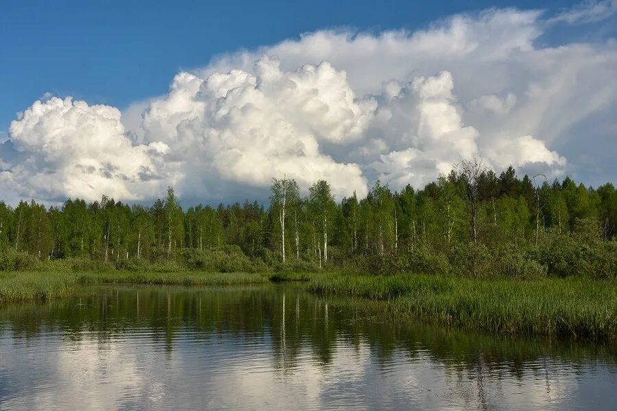 Погода лух пермский край. Белый Лух Костромская область. Река черный Лух Костромской области. Река Лух.