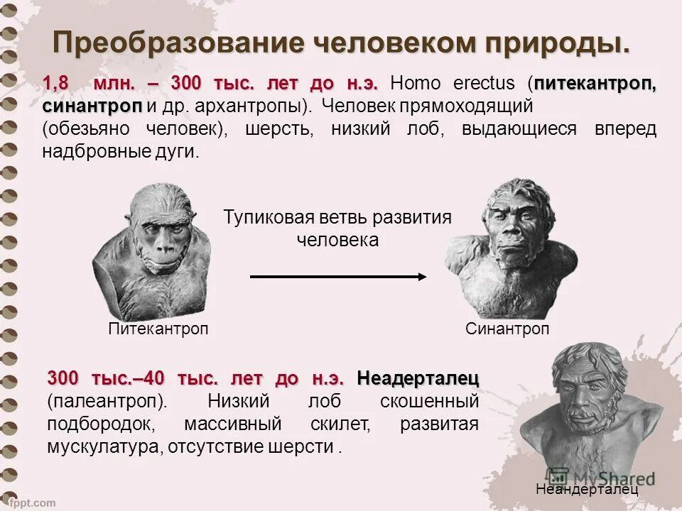 человек прямо зодящий. денисовец кроманьонец. челове милион лет назад. человеческие навыки неандертальца. 300 тыс лет.