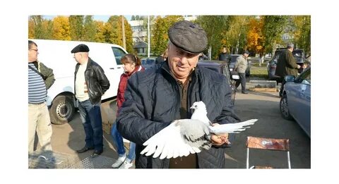 Выставка голубей в туле 2024 году