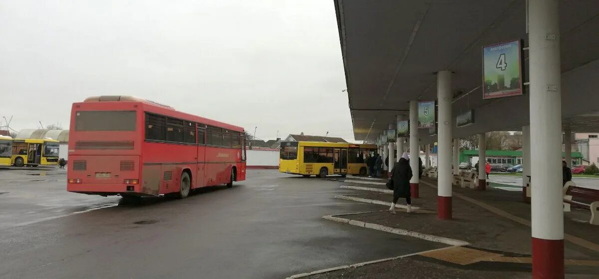 Автобуса в барановичах. Барановичи автобус. белорусские автобусы. маршрут междугороднего автобуса. барановичи автобусный парк.