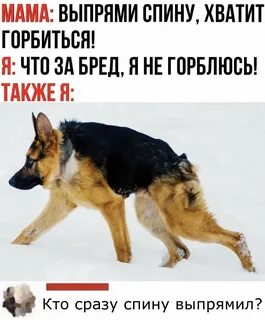 Более не отвлекаю