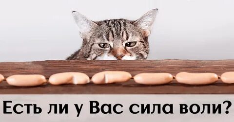 Хочу принять силу