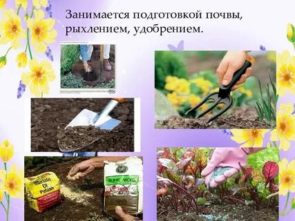 Сообщение роль рыхления для растений