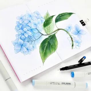 Картинки для маркеров для начинающих