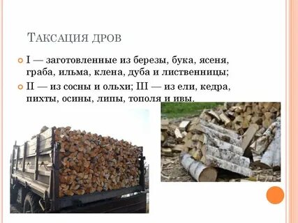 Складометр дров это сколько
