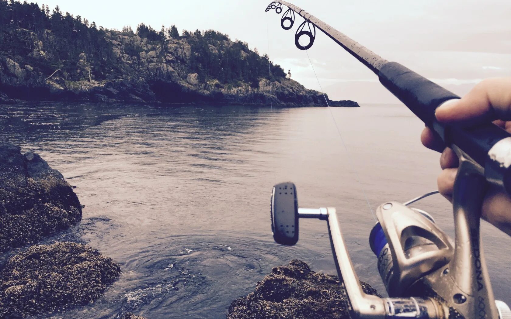 морская рыбалка с берега. рыба в реке. водить рыбу. водить рыбу. рыба в речке.