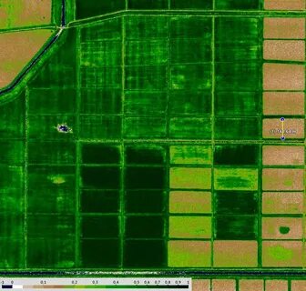 Ndvi