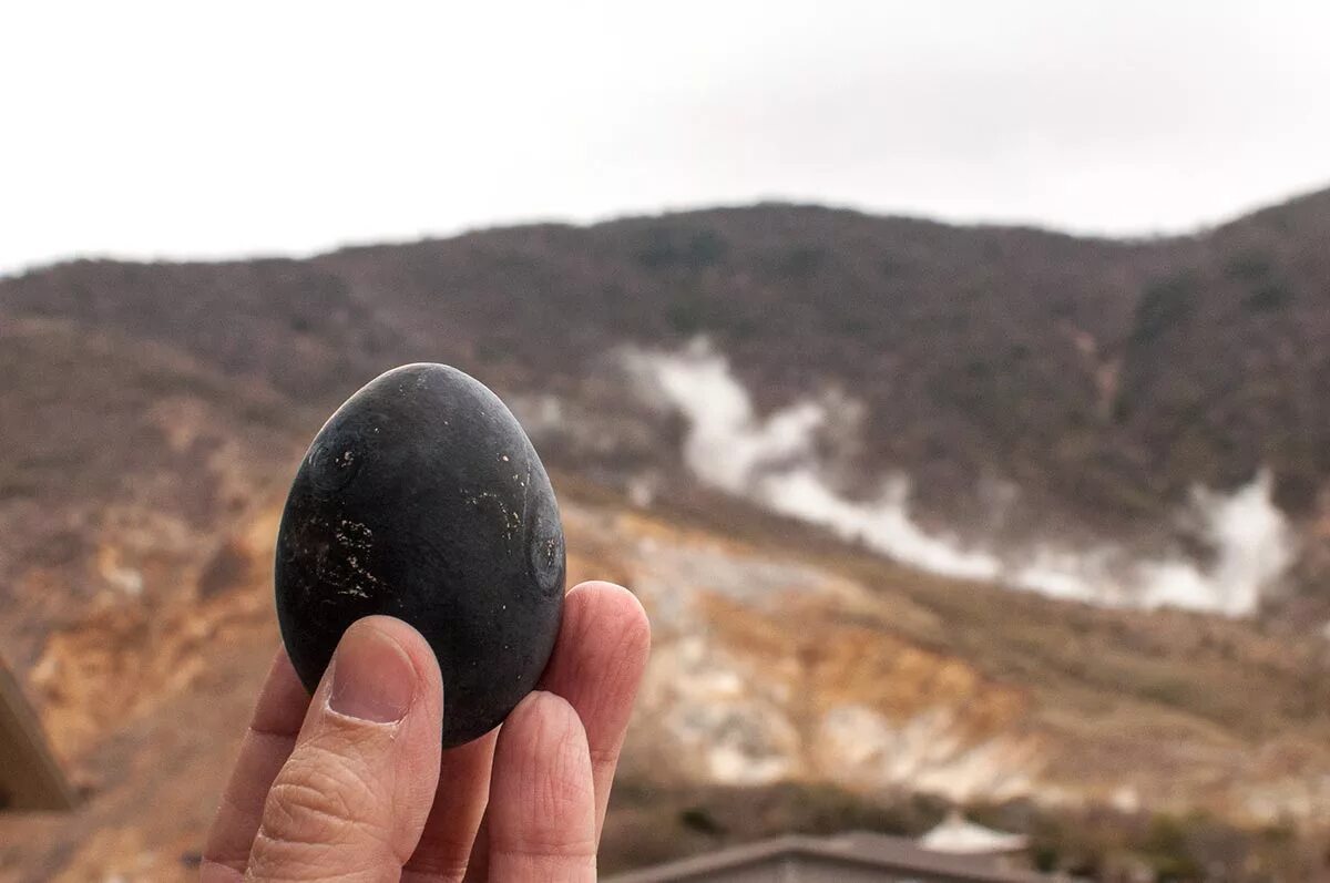 Яйцо стало черным. Овакудани черные яйца. Хаконэ черные яйца. Черные яйца в долине Овакудани Япония. Необычные яйца.