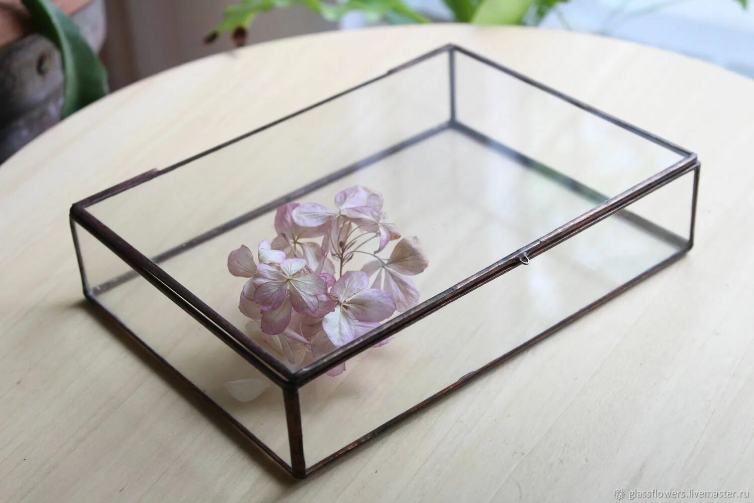 Шкатулка fix price стеклянная. Коробка из акрила прозрачного. Прозрачная шкатулка для колец. Коробка из стекла. Стеклянный ящик.