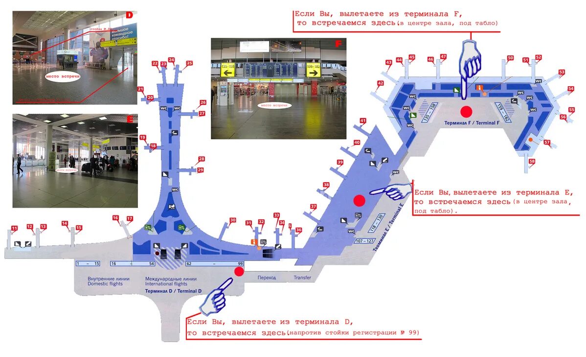 Аэроэкспресс какой терминал. Схема терминала b Шереметьево Аэроэкспресс. Аэропорт Шереметьево на карте. Схема аэропорта Шереметьево терминал f. Терминал с Шереметьево схема терминала 2023.