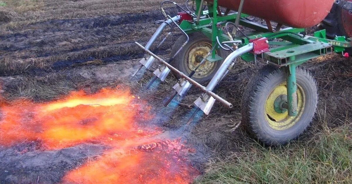 С помощью какого устройства робот уничтожал сорняки