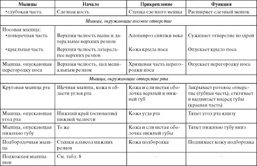 Начало прикрепление функции мышц. Мышцы головы мимические и жевательные таблица. Мышцы шеи функции таблица. Мимические мышцы головы таблица. Мимические мышцы и жевательные мышцы таблица.