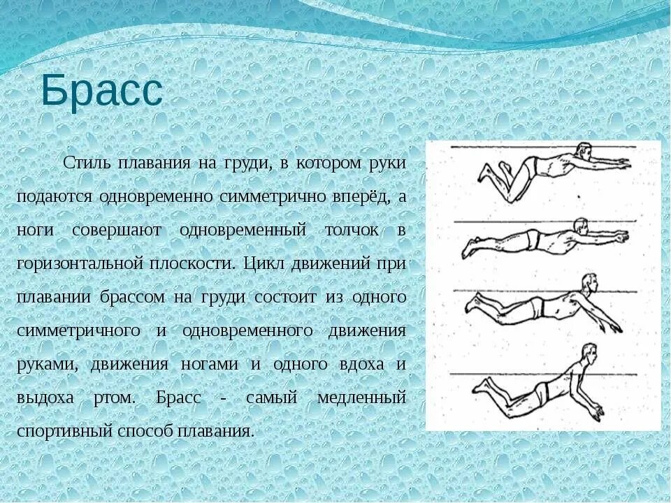 Методика обучения кролю. Техники плавания Кроль брасс и. Техники плавания брасс Кроль Баттерфляй. Стиль плавания брасс 4 класс. Стиль плавания брасс и Баттерфляй.