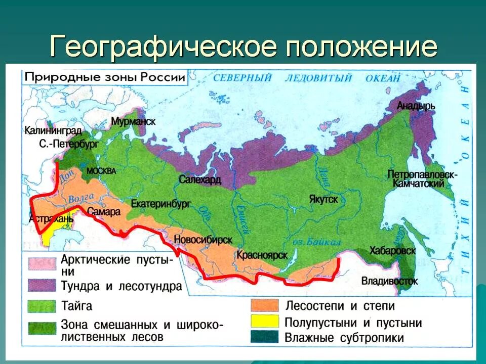 Тундра относительно морей и океанов. Карта природных зон России субтропики. Природная зона степь географическое положение в России. Зона степей и лесостепей на карте России. Тайга природная зона на карте.