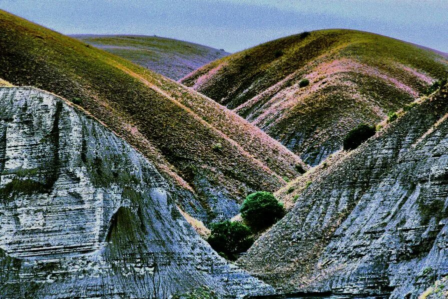 восточный холм