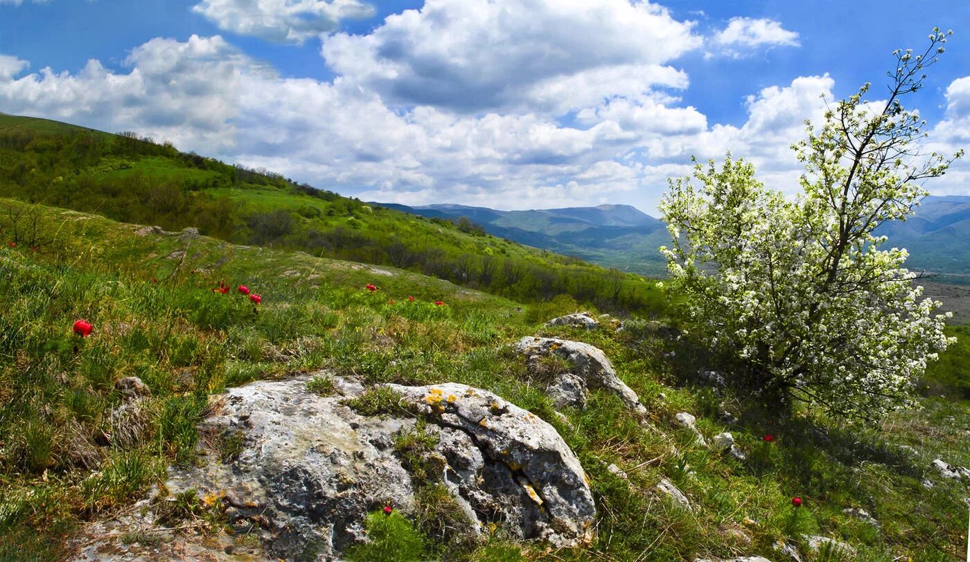 Крымские степи и крымские горы. Горный Крымский район. Горный и Степной Крым. Природа Крымского района.