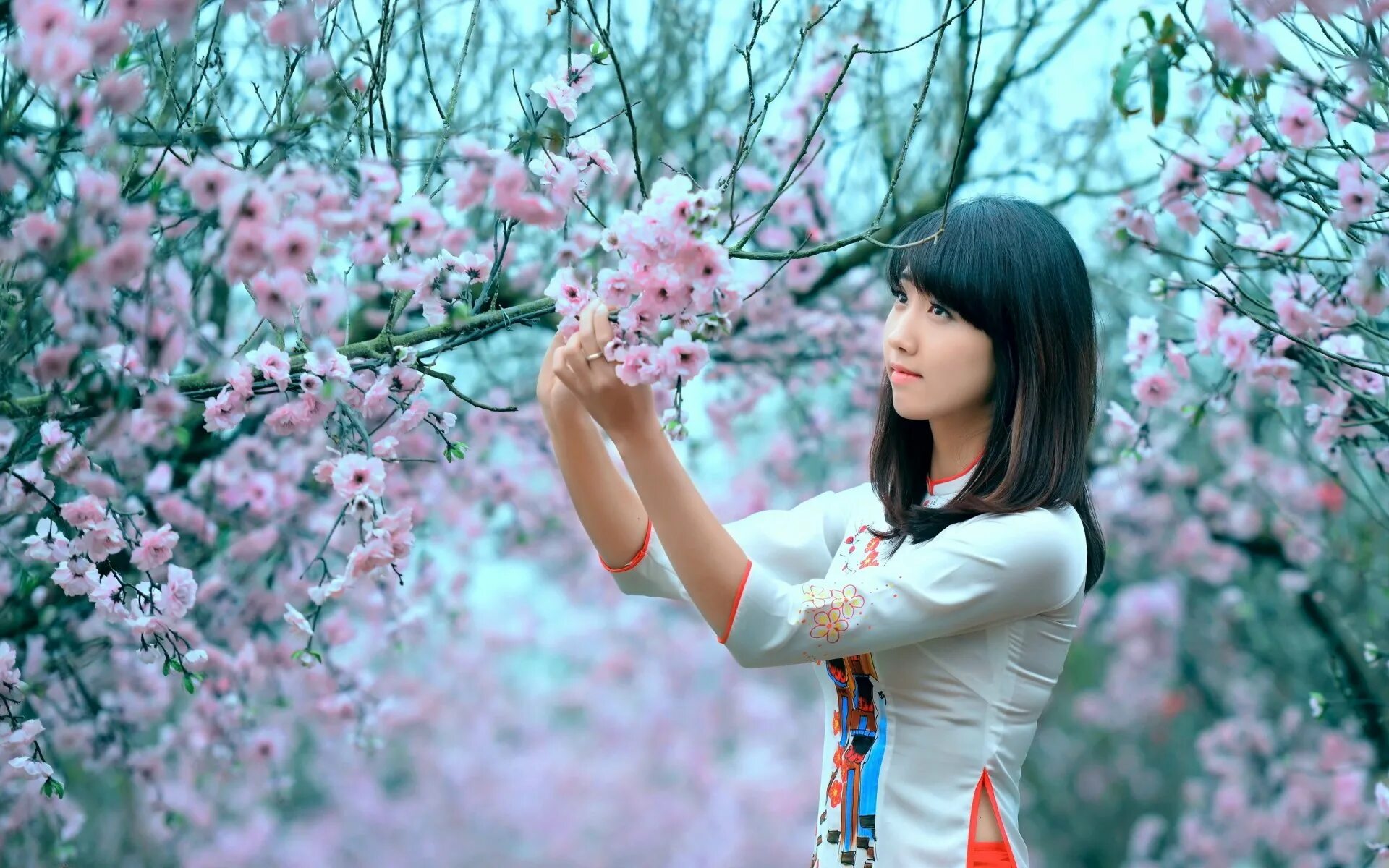 Фотосессия на фоне цветущих деревьев. Девушка под сакурой. Японская девушка. Фотосессия на фоне Сакуры.