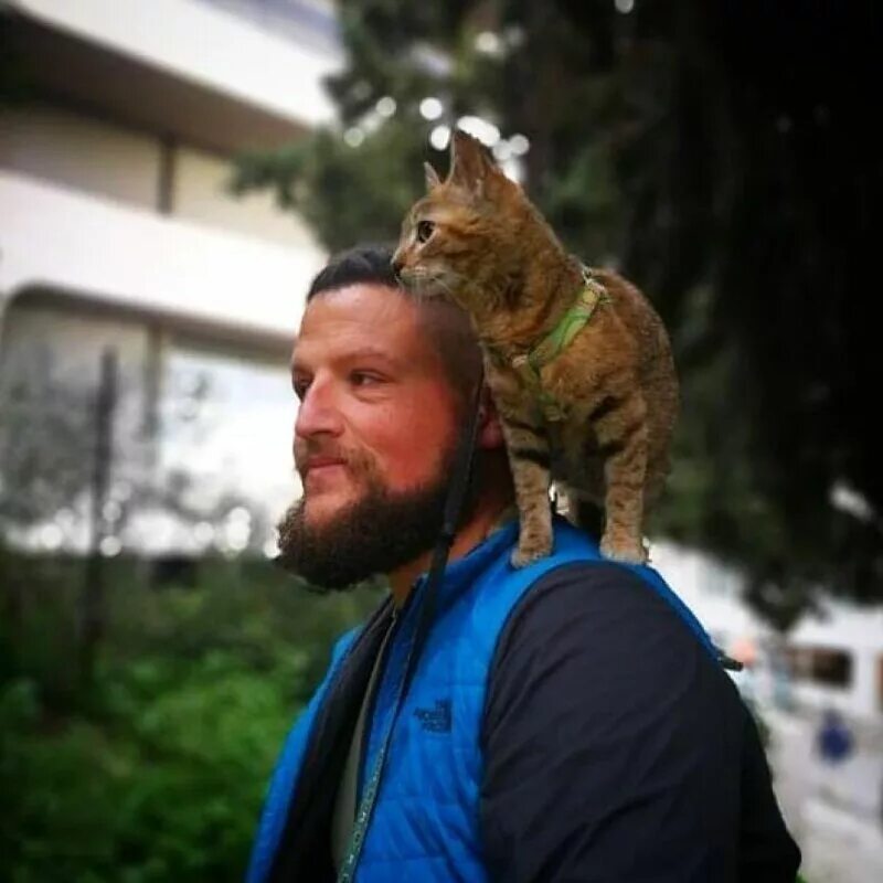 Мужчина путешествует с котом. Кошка путешествует с хозяином. Парень путешествует по миру. Мужик путешественник с котом. Доблесть мужчины