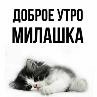 Доброе милашка