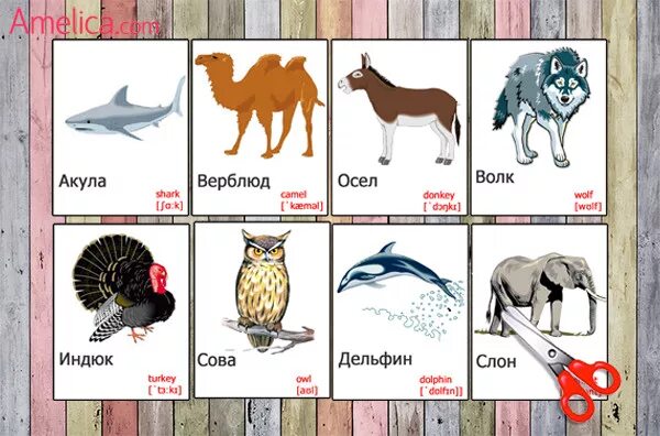 Перевод транскрипции животные. Животные на английском. Животные на английском для детей. Карточки животные на английском. Карточки животные на английском языке для детей.