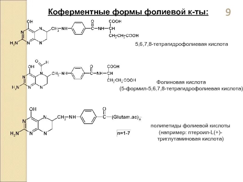 Тетрагидрофолиевая кислота кофермент. 5 6 7 8 Тетрагидрофолиевая кислота. Коферментные формы витамина в9. Витамин в9 строение.